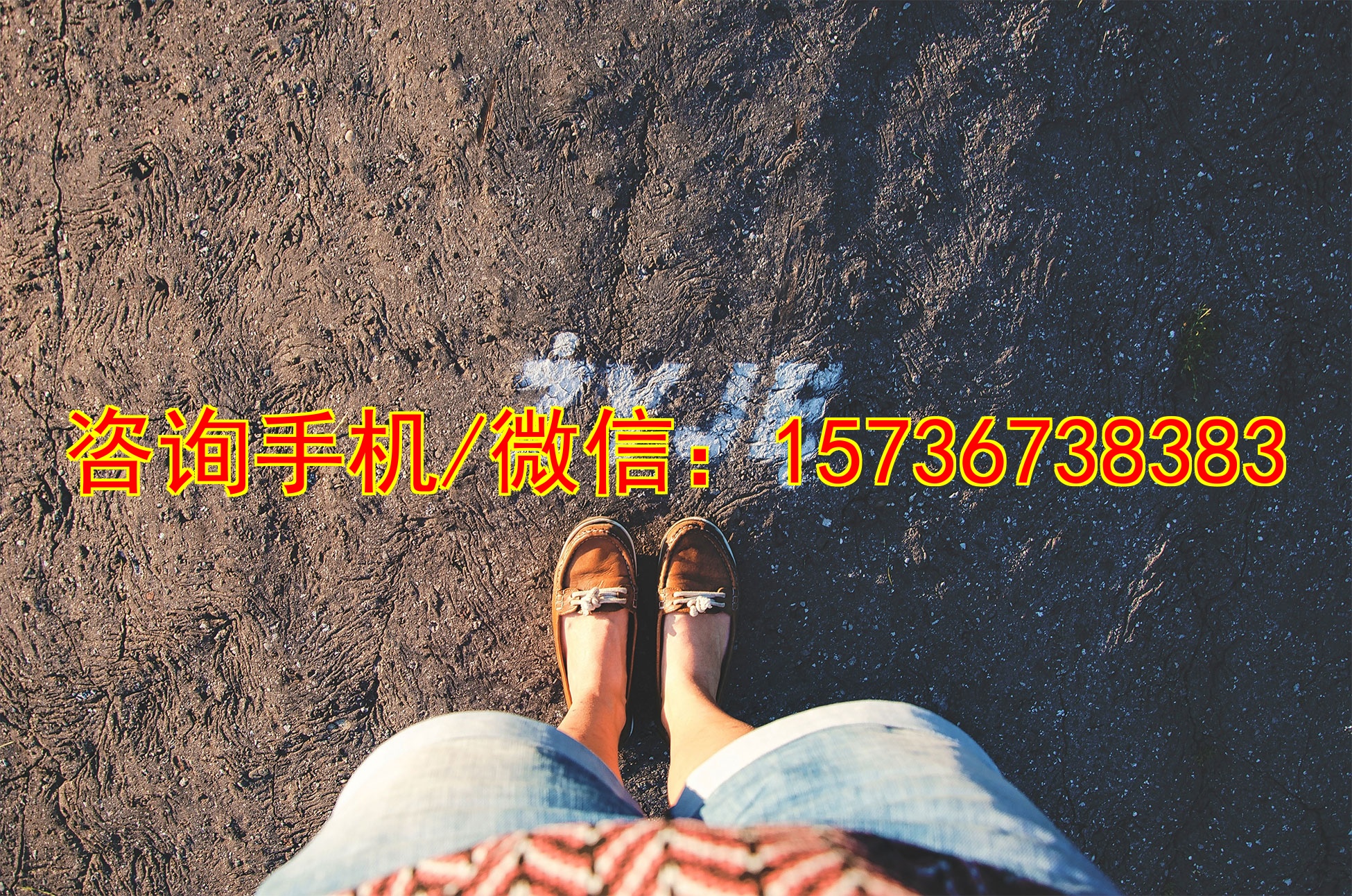 衢州代怀园林养护服务
